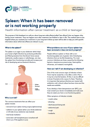 Front cover for late effects factsheet - Spleen